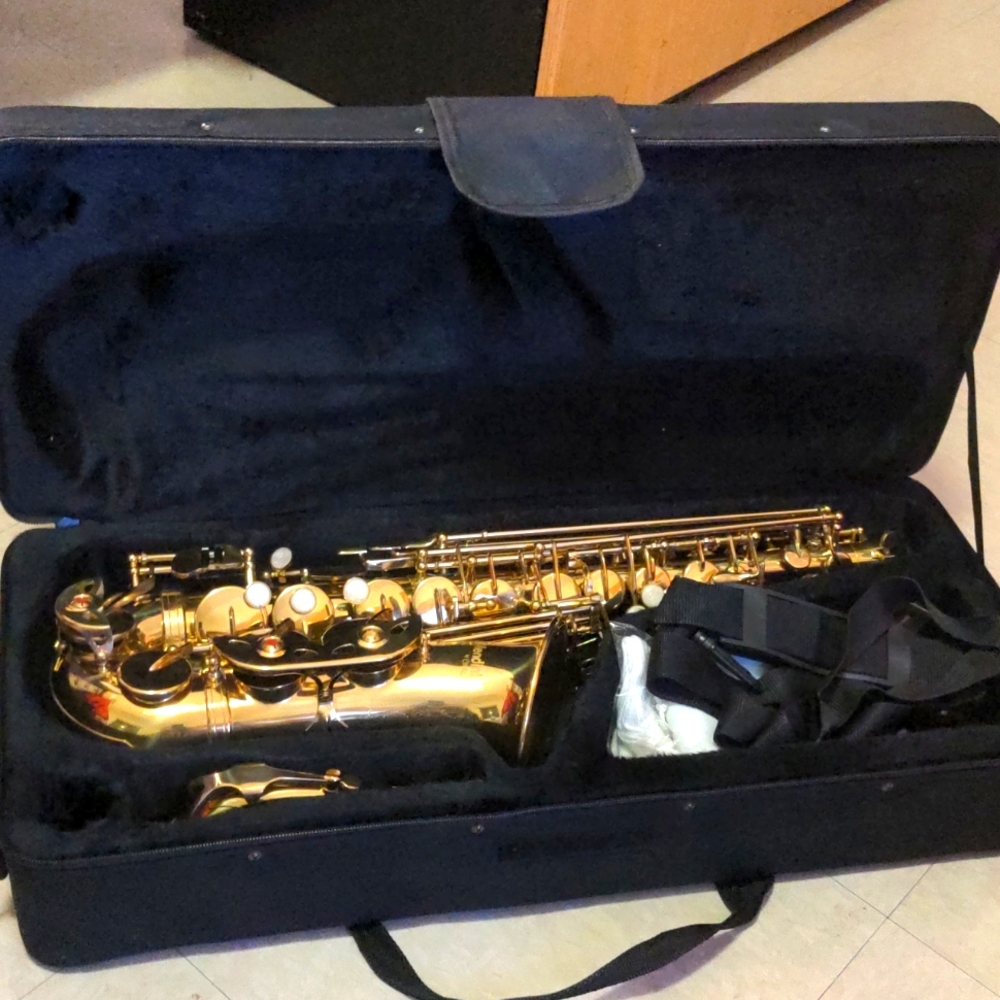🎷ALTO Saxophone 🎷